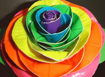 Rainbow Rose