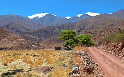 La RN 40 en la Provincia de Salta. Argentina