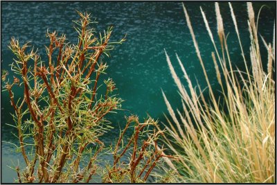 Laguna de la NiÃ±a Encantada. Mendoza. Argentina