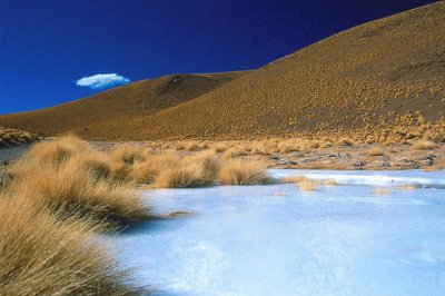 Cerca de Antofalla. Catamarca. Argentina