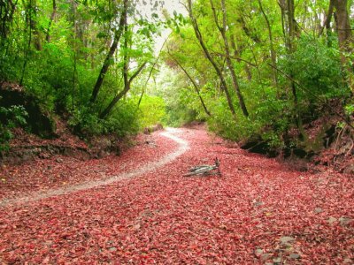 Yerba Buena. TucumÃ¡n. Argentina