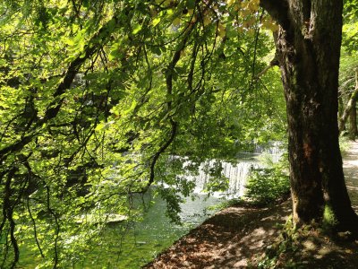 gorges de l 'Areuse