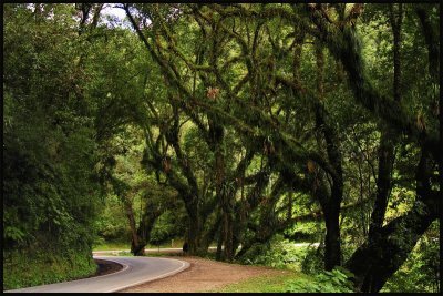 Yungas en la Provincia de Salta. Argentina