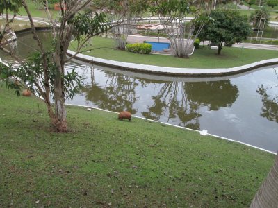 Parque em Ãguas de LindÃ³ia - SP