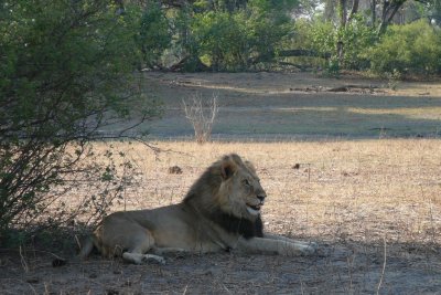 En el norte de Botswana