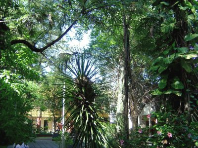 En San Miguel del TucumÃ¡n. Argentina