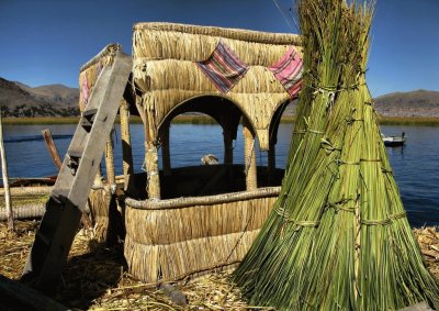 Uro del Titicaca. PerÃº