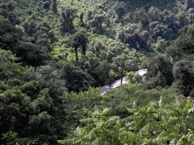 Quebrada de Los Sosa. TucumÃ¡n. Argentina