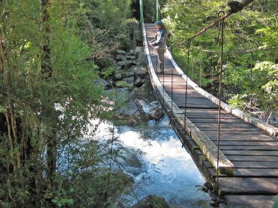 Cerca de Puerto Blest. Provincia de RÃ­o Negro. Argentina