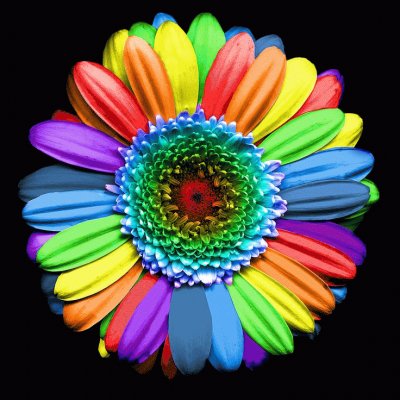 My Rainbow Flower