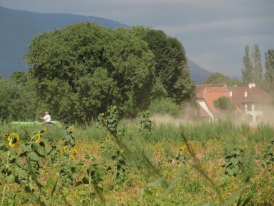 tracteur faisant de la poussiÃ¨re