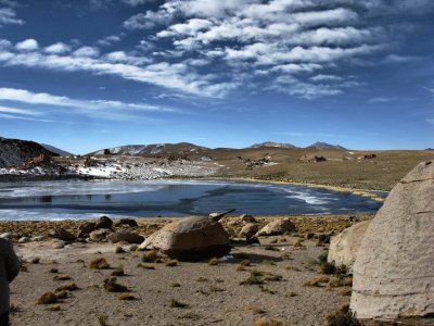 Laguna Negra. Bolivia