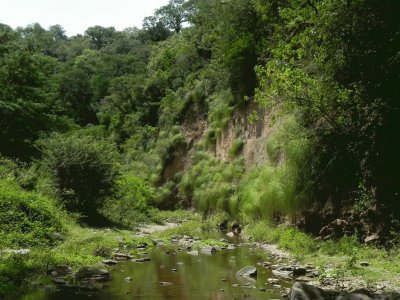 Cerro San Javier. TucumÃ¡n. Argentina