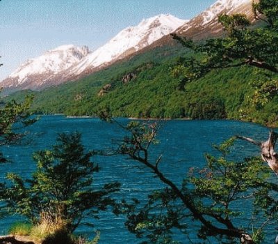 Lago del Desierto. Patagonia Argentina