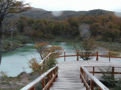 PN Tierra del Fuego. Argentina