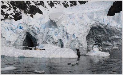 En la AntÃ¡rtida Argentina