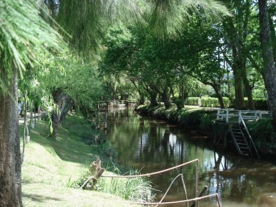 Delta del Tigre. Buenos Aires. Argentina