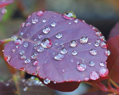 bajola lluvia