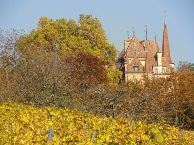 chÃ¢teau de Gorgier en automne