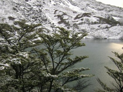 Laguna del Caminante. Tierra del Fuego. Argentina