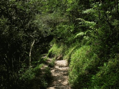 Cerro San Javier. TucumÃ¡n. Argentina