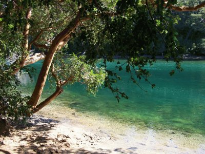 RÃ­o Arrayanes. PN Los Alerces. Chubut. Argentina