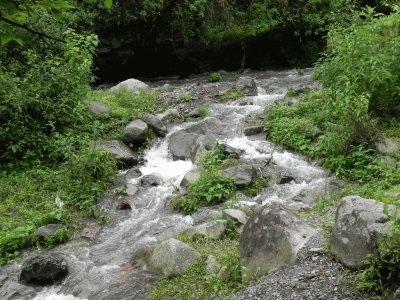 En la Quebrada de San Lorenzo. Salta. Argentina