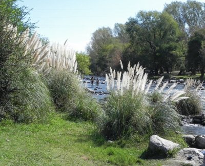 En Calamuchita. CÃ³rdoba. Argentina