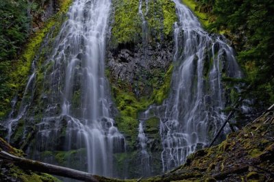 Willamette National Forest  Oregon