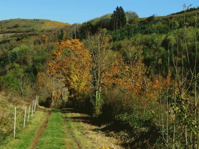 LÃ©tra. Francia