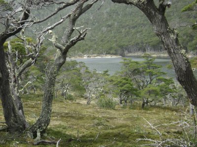 En Tierra del Fuego. Argentina