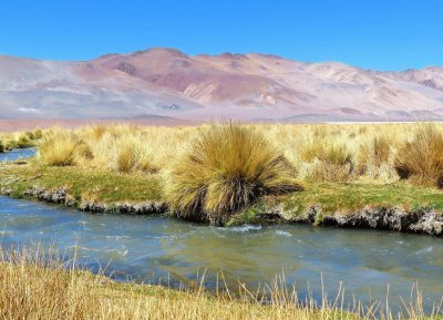 Cazadero Grande. Catamarca. Argentina