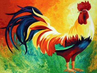 Rooster