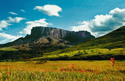 Tepuy KukenÃ¡n. Venezuela