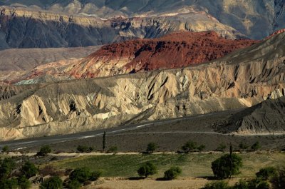 En la Ruta 51. Salta. Argentina