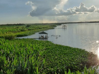 RÃ­o Pilcomayo. Formosa. Argentina