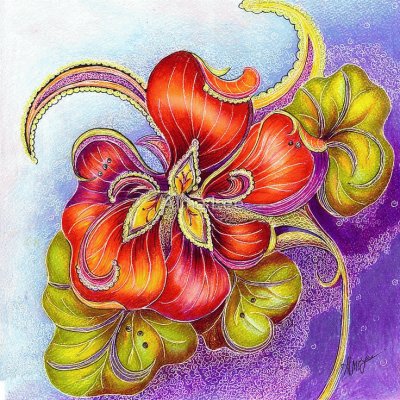 Paisley Nasturtium