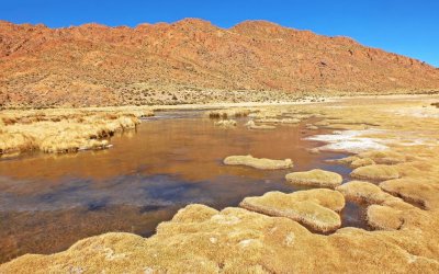 Abra del Charco. Salta. Argentina