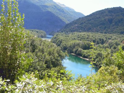 PN Los Alerces. Chubut. Argentina