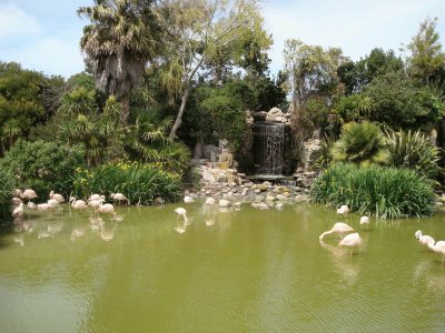 San Clemente del TuyÃº. Buenos Aires. Argentina