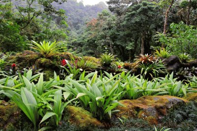 En Costa Rica