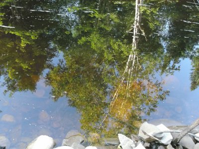 Reflections at the river bank