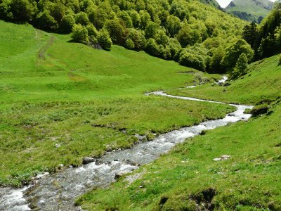 Le calme de la campagne