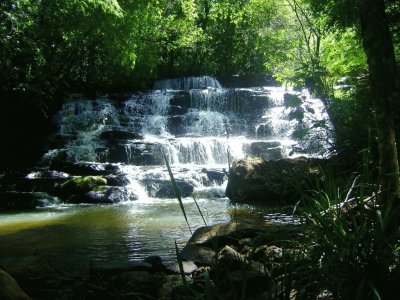 En OberÃ¡. Misiones. Argentina