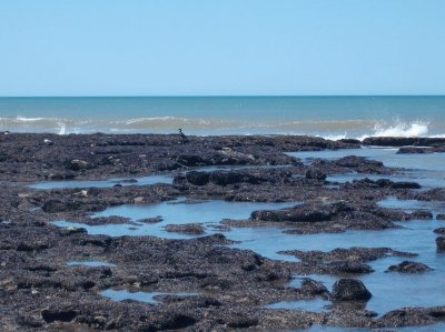 Cerca de Necochea. Buenos Aires. Argentina