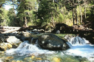 En Bariloche. RÃ­o Negro. Argentina