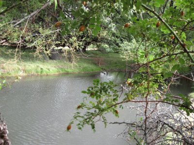 RÃ­o Gualjaina. Chubut. Argentina