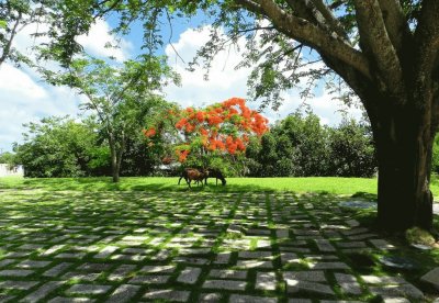 Santa Clara. Cuba