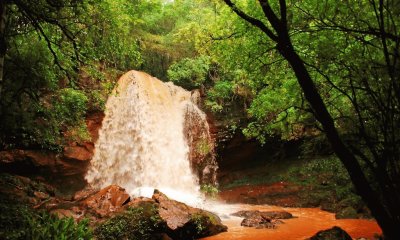 Salto Berrondo. Misiones. Argentina