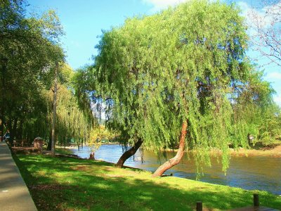 Calamuchita. CÃ³rdoba. Argentina